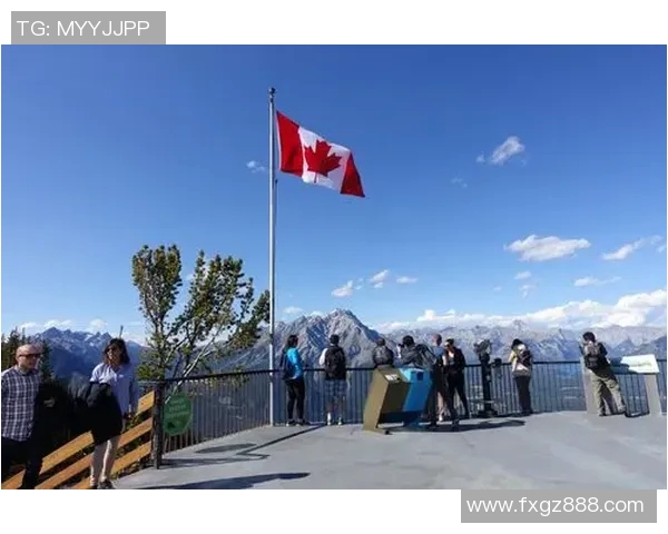 深圳乒乓球队逆袭之旅全景揭秘冠军赛背后的奋斗与荣耀