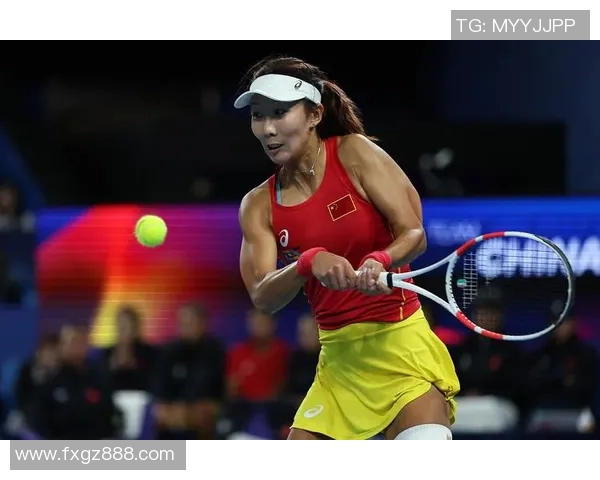 北京网球队球员个人能力深度对比分析与发展潜力探讨