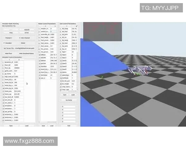 北京羽毛球队快攻革新之路探索与实践分析